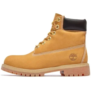 TIMBERLAND 6 IN PREMIUM WP BOOT JR YELLOW 23 10